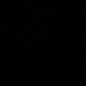 Meet your Posher, Zoe